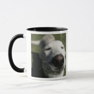 Santa Fe, New Mexico Tasse