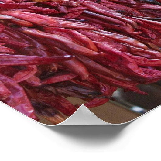 Santa Fe Red Chili Ristras New Mexico Poster (Ecke)