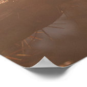 Santa Fe Serenity: Cholla Cactus at Sunset Poster (Ecke)