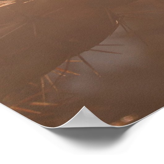 Santa Fe Serenity: Cholla Cactus at Sunset Poster (Ecke)