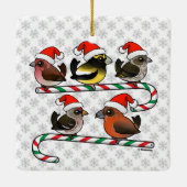 Santa Finches Keramikornament (Rückseite)