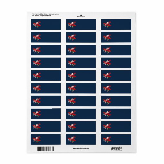 Santa Flying Airplane Address Labels (Vorne)