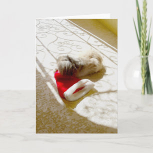 Santa gefangen feiertagskarte