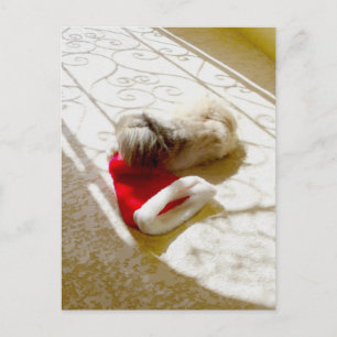 Santa gefangen feiertagspostkarte