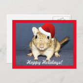 Santa Gerbil Feiertagspostkarte (Vorne/Hinten)