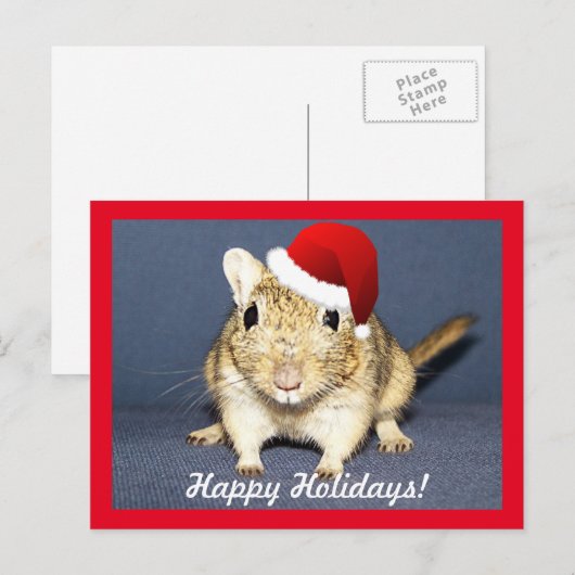 Santa Gerbil Feiertagspostkarte (Vorne/Hinten)