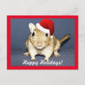 Santa Gerbil Feiertagspostkarte (Vorderseite)