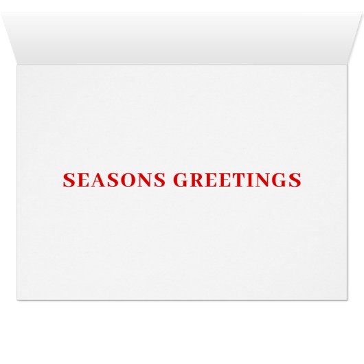 Santa Guitars Farbenfrohe Unterhaltung (Innenansicht Horizontal (Unten))