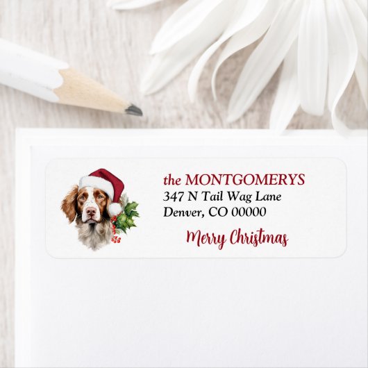 Santa Hat Brittany Dog Christmas Return Address (Insitu)