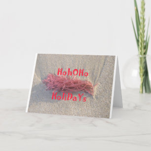 Santa HoHoHo Frohe Weihnachten aus den Farben am S