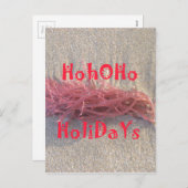 Santa HoHoHo Frohe Weihnachten aus den Farben am S (Vorne/Hinten)