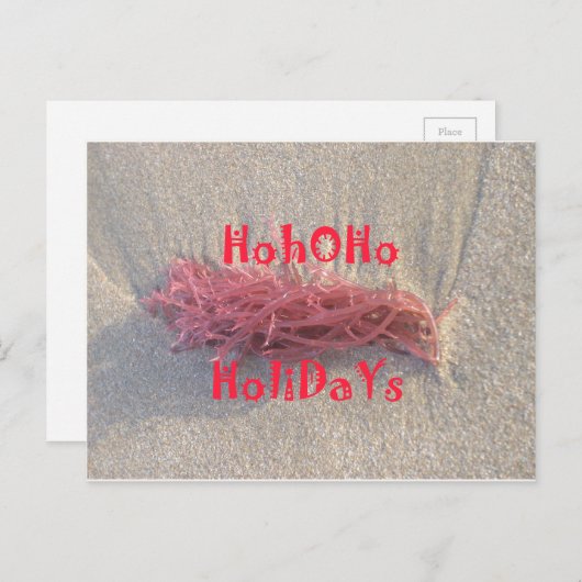 Santa HoHoHo Frohe Weihnachten aus den Farben am S (Vorne/Hinten)