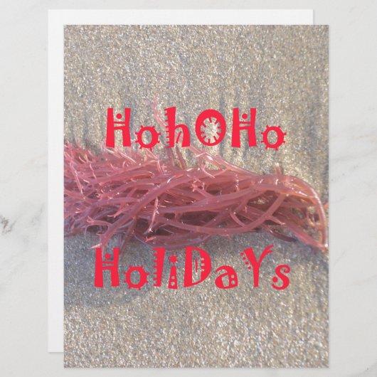 Santa HoHoHo Frohe Weihnachten aus den Farben am S Briefbogen (Vorne/Hinten)