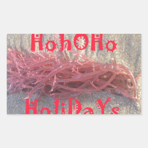 Santa HoHoHo Frohe Weihnachten aus den Farben am S Rechteckiger Aufkleber