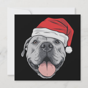 Santa Hut Pitbull Pit Weihnachten Xmas Haustier Hu