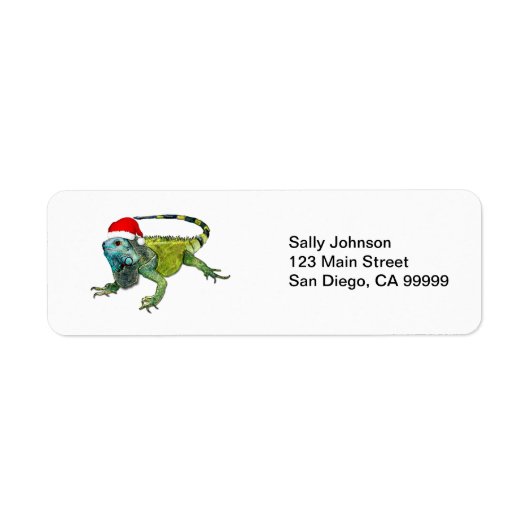 Santa Iguana (Vorne)