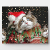 Santa Katze Fotoplatte (Vorderseite)