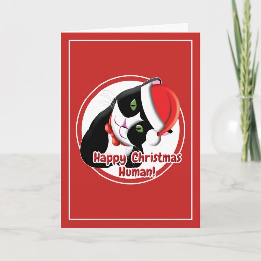 Santa Katze Karte (Vorderseite)