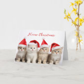 Santa Katzen Karte (Gelbe Blume)