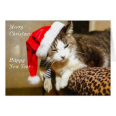 Santa Kitty Painterly (Vorderseite (Horizontal))