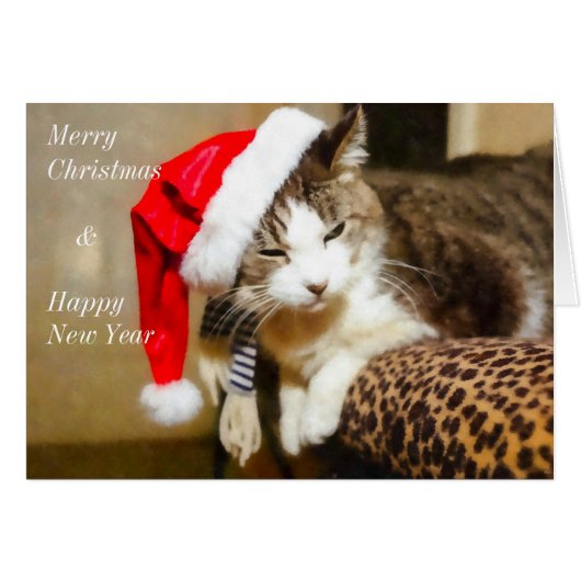 Santa Kitty Painterly (Vorderseite (Horizontal))