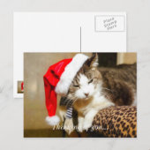 Santa Kitty Painterly Feiertagspostkarte (Vorne/Hinten)