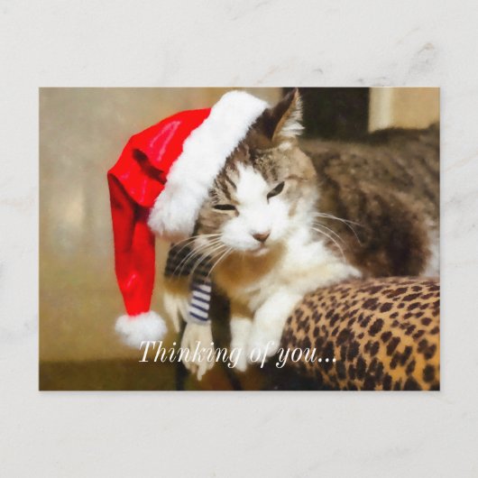 Santa Kitty Painterly Feiertagspostkarte (Vorderseite)