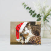 Santa Kitty Painterly Feiertagspostkarte (Stehend Vorderseite)