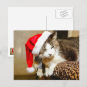 Santa Kitty Painterly Postkarte (Vorne/Hinten)