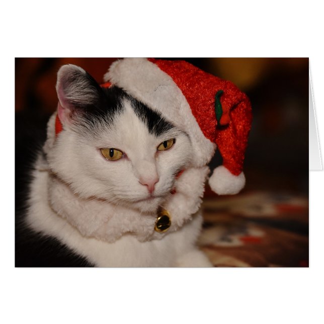 Santa Kitty | Schwarze und weiße Katze (Vorderseite (Horizontal))