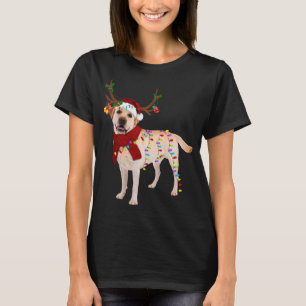 Santa Labrador Retrider Light Weihnachten T-Shirt