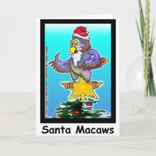 Santa Macaws Lustige Weihnachtsgeschenke & T-Shirt Feiertagskarte