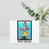 Santa Macaws Weihnachtsgeschenke & T-Shirts Feiertagspostkarte (Stehend Vorderseite)
