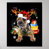 Santa Miniature Schnauzer mit Weihnachtsbeleuchtun Poster (Vorne)
