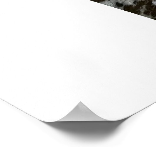 Santa Monica Beach im Herbst. Poster (Ecke)