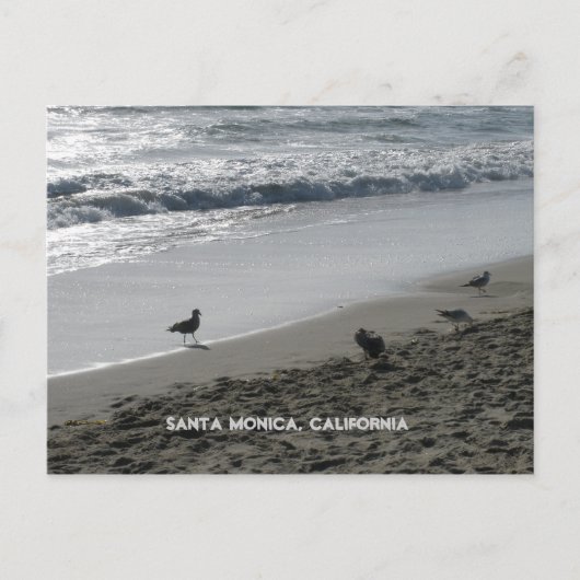 Santa Monica, kalifornische Postkarte (Vorderseite)