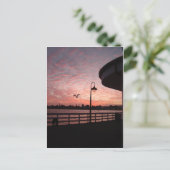 Santa Monica Pink Postkarte (Stehend Vorderseite)
