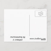 SANTA MONICA SUNSET #1 POSTCARD POSTKARTE (Rückseite)