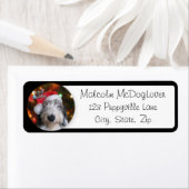 Santa Old English Sheepdog (Insitu)