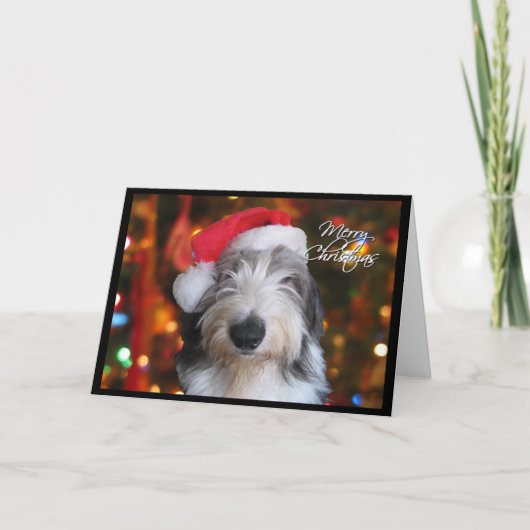 Santa Old English Sheepdog Weihnachtskarte Feiertagskarte (Vorderseite)