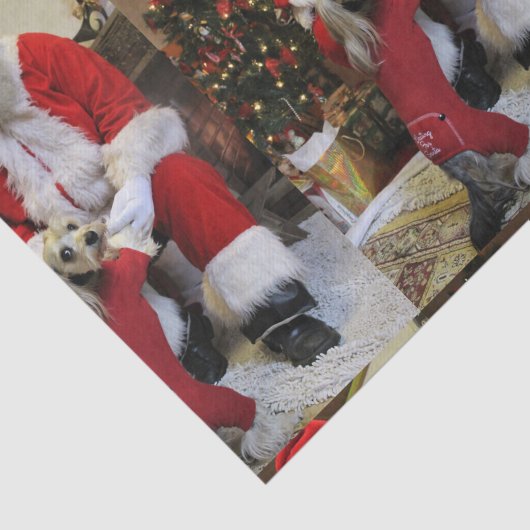 Santa Paare Seidenpapier (Ausschnitt)