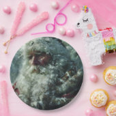 Santa Pappteller (Party)