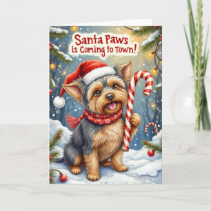 Santa Paws Affenpinscher Weihnachtsgrüße Karte