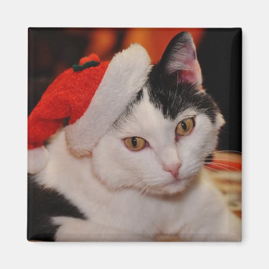 Santa Paws Cat Magnet (Vorne)
