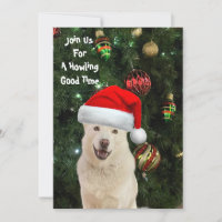 Santa Paws - Crystal the Husky Dog Weihnachten