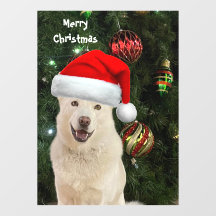 Santa Paws - Crystal the Husky Dog Weihnachten