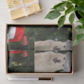 Santa Paws - Crystal the Husky Dog Weihnachten Seidenpapier (Geschenk)