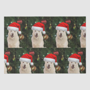 Santa Paws - Crystal the Husky Dog Weihnachten Seidenpapier