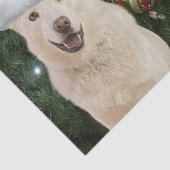 Santa Paws - Crystal the Husky Dog Weihnachten Seidenpapier (Detail)