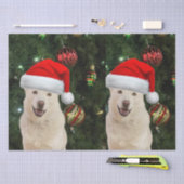 Santa Paws - Crystal the Husky Dog Weihnachten Seidenpapier (Handwerk)